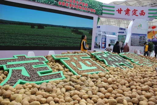 技能赋能兴产业薯香飘远助振兴——合光星聚2021年甘肃定西乡村振兴